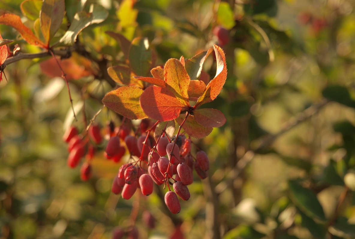 ������� � ���� 11 ����� ������  �� PhotoGeek.ru #������ ��� �������