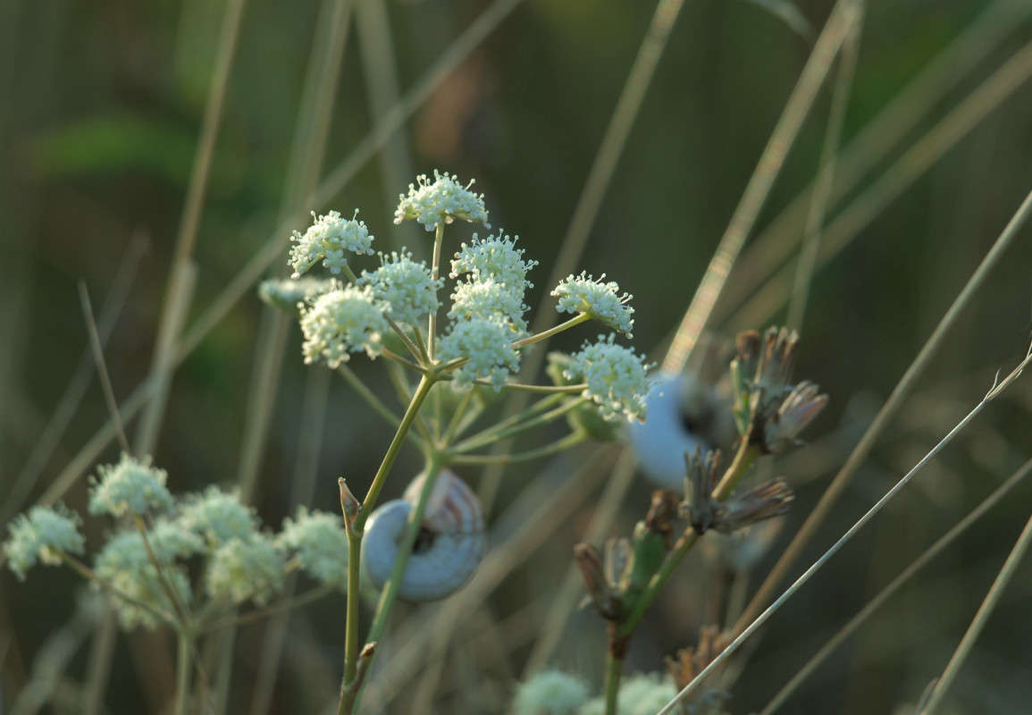 ������� � ���� 10 ����� ������  �� PhotoGeek.ru #������ ��� �������