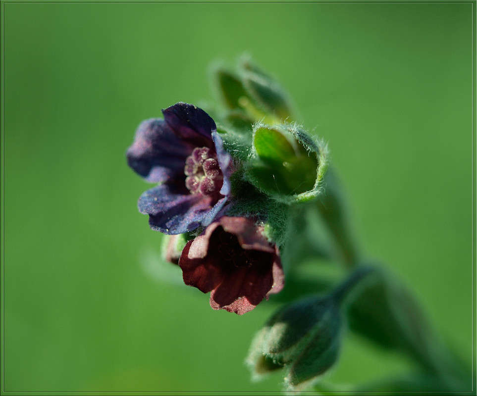 ... ����� ������  �� PhotoGeek.ru #�����