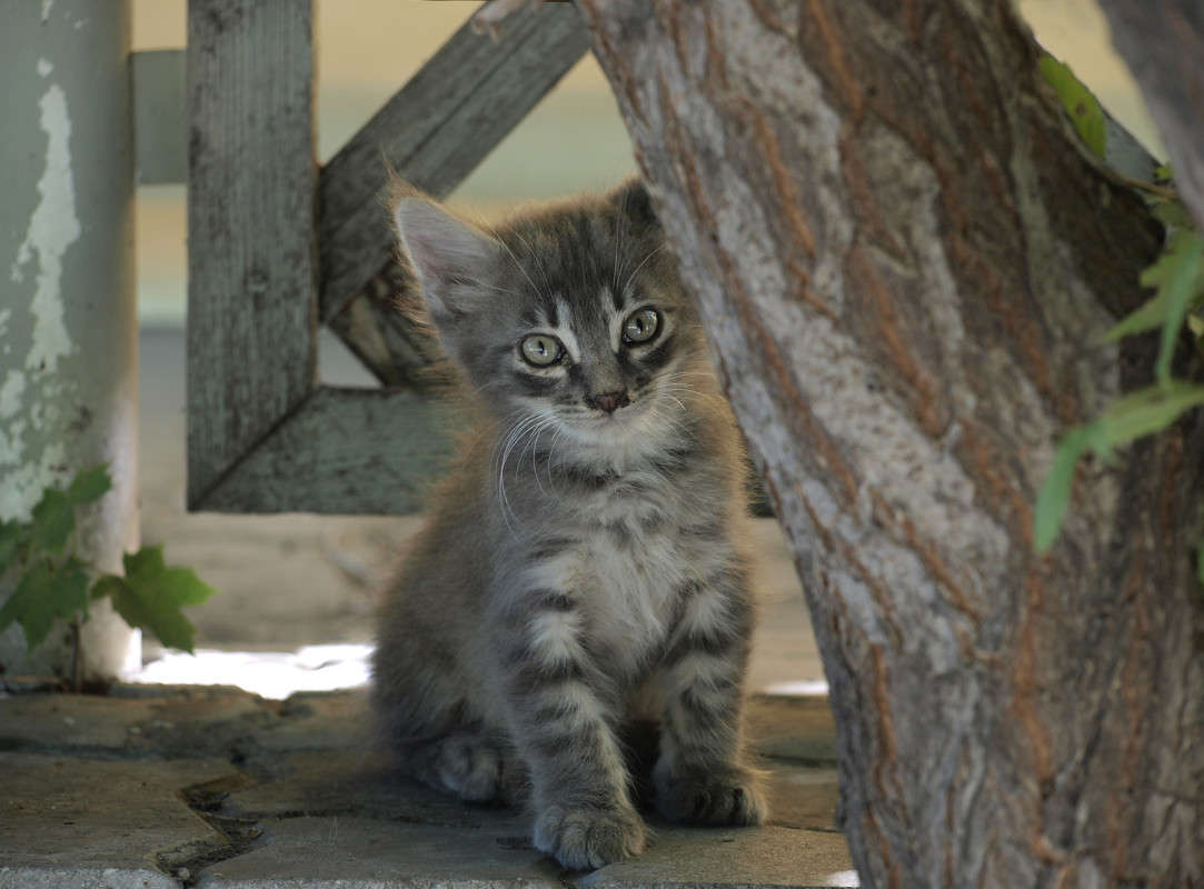 ����������� ����� ������  �� PhotoGeek.ru #�������� ���