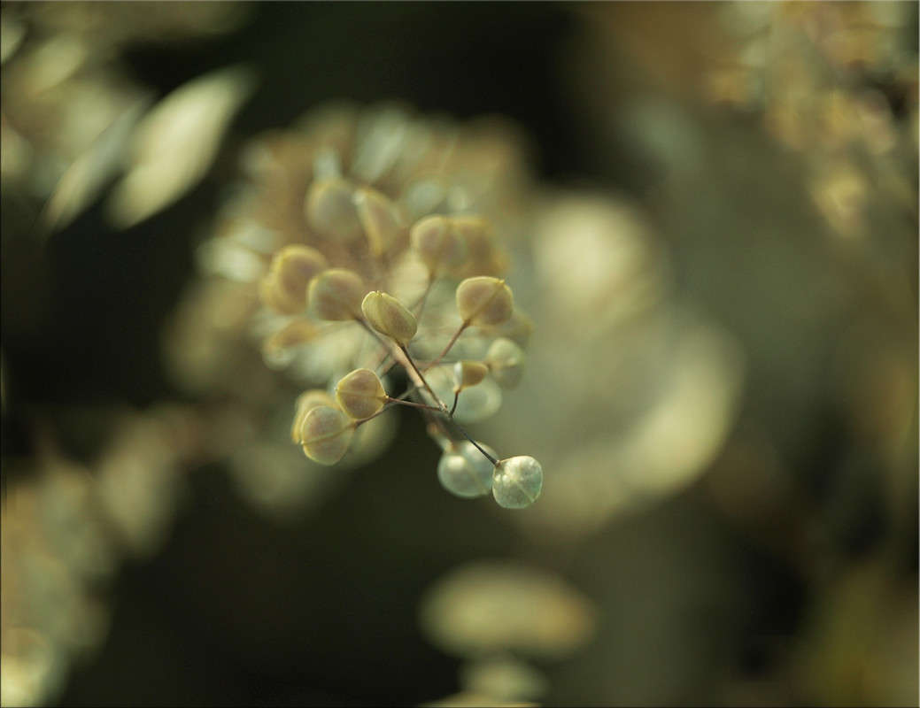 ��������� � �������� ����� ������  �� PhotoGeek.ru #������ ��� �������