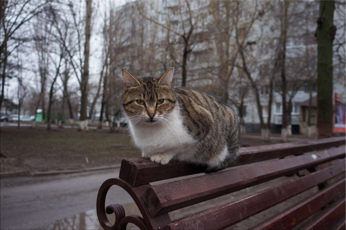 �� ��������� ����� ������  �� PhotoGeek.ru #�������� ���