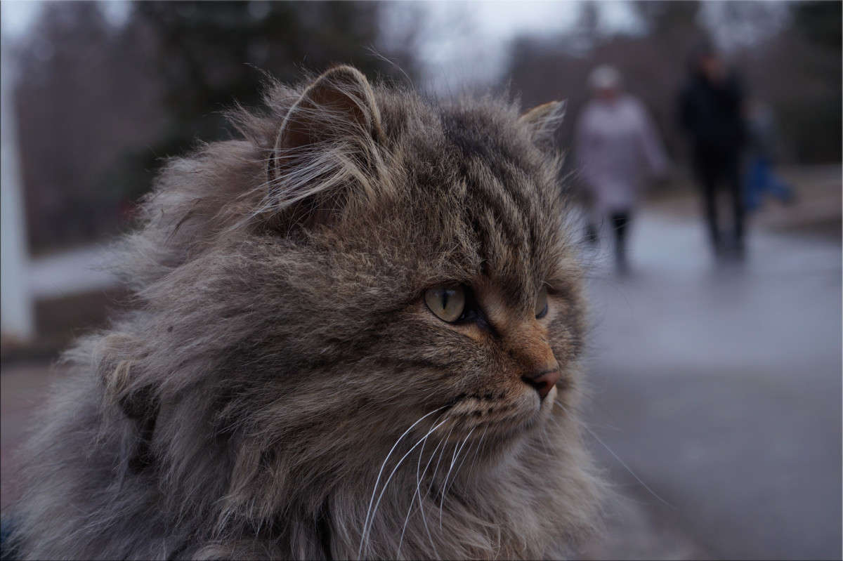 �� ��������� 2 ����� ������  �� PhotoGeek.ru #�������� ���