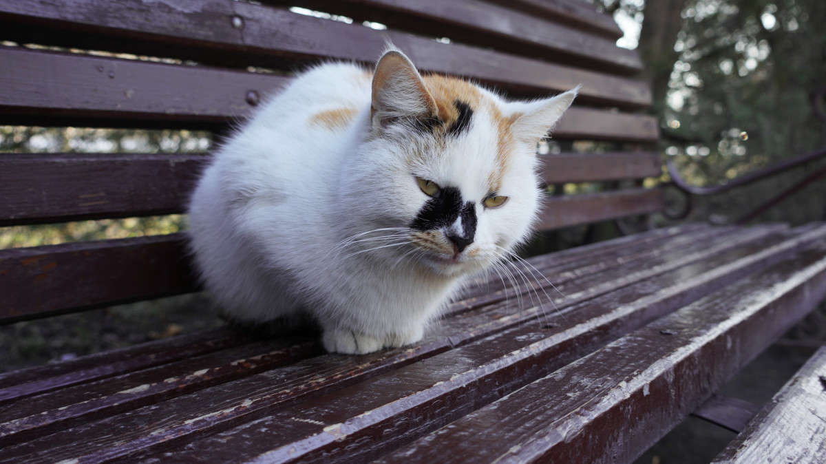 �� ��������� 3 ����� ������  �� PhotoGeek.ru #�������� ���