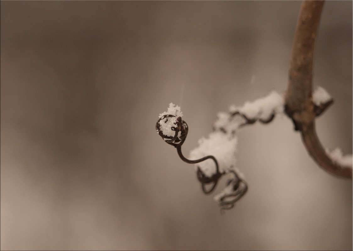 ���� ����� ������  �� PhotoGeek.ru #������ ��� �������