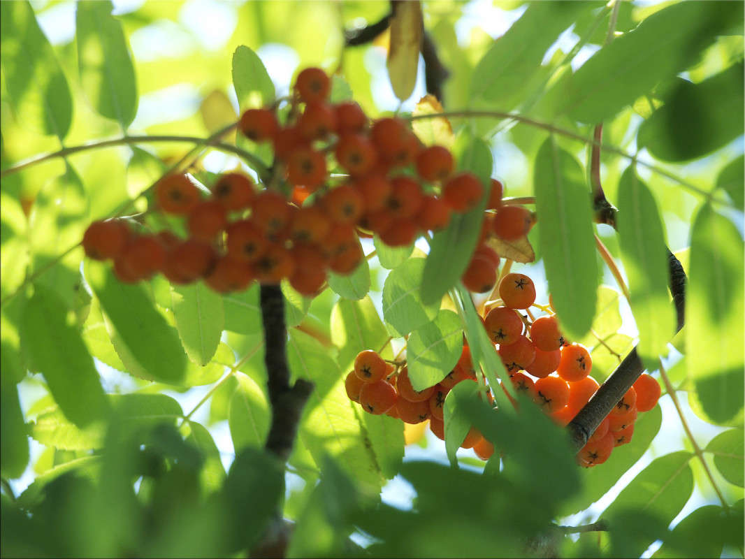 ������ � ���� ����� ������  �� PhotoGeek.ru #������ ��� �������