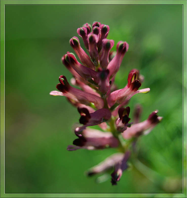 � �������� ����� ������  �� PhotoGeek.ru #������ ��� �������