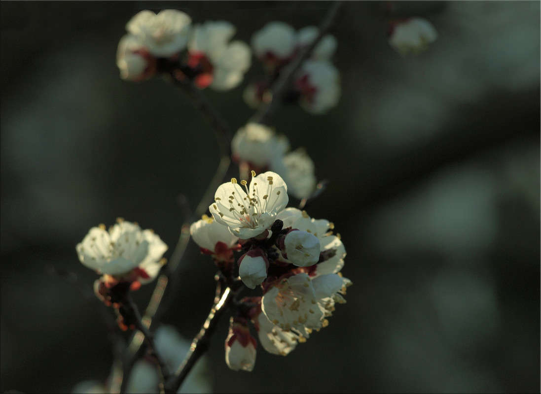 ��� ���� ������� ����� ������  �� PhotoGeek.ru #������ ��� �������