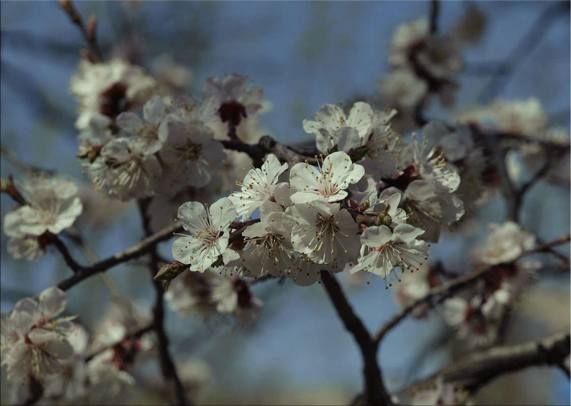 ��� ���� ������� 2 ����� ������  �� PhotoGeek.ru #������ ��� �������