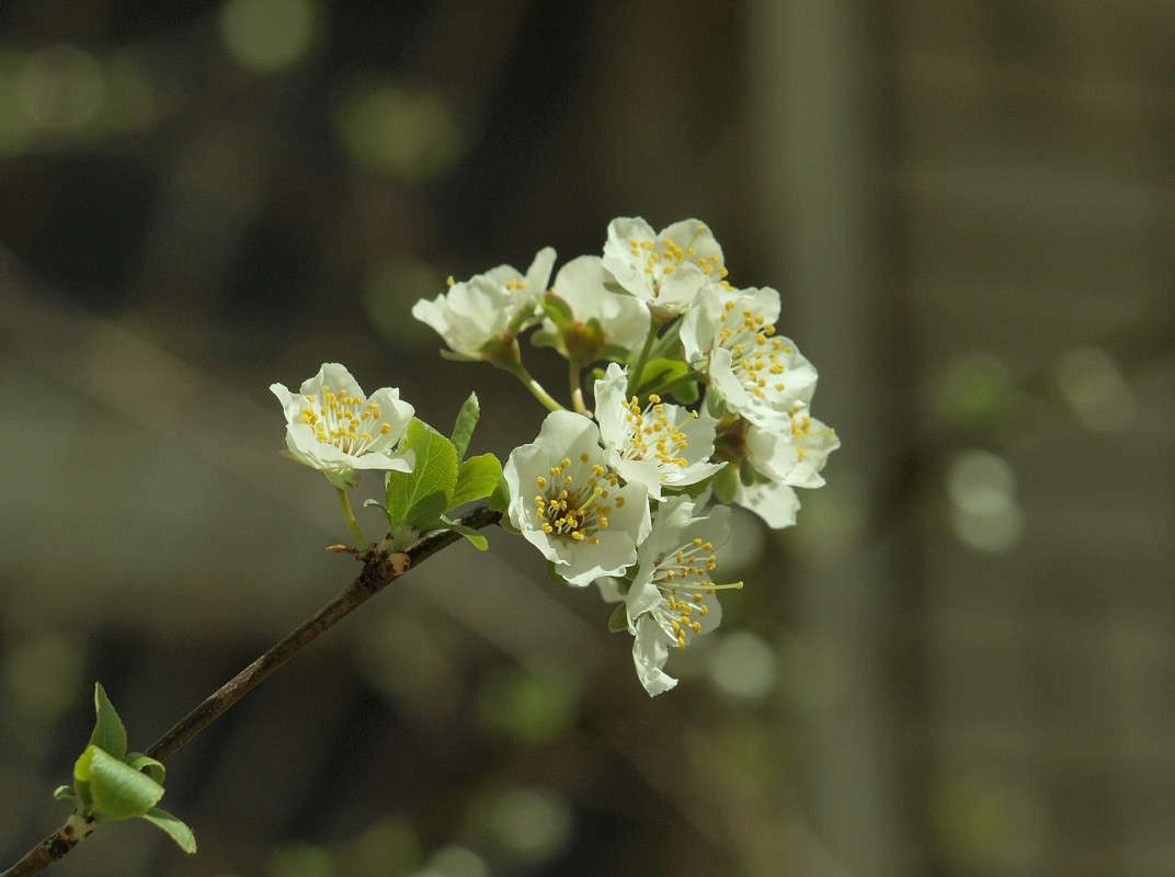 ��� ���� ������� 3 ����� ������  �� PhotoGeek.ru #������ ��� �������