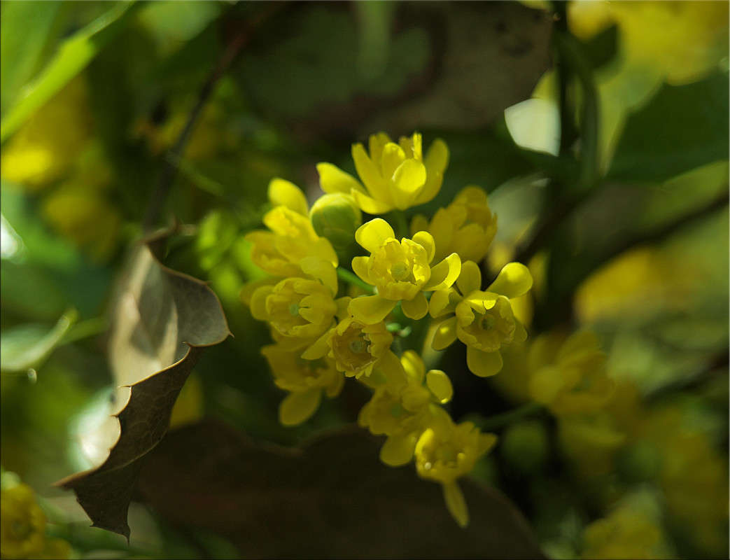 ��� ���� ������� 5 ����� ������  �� PhotoGeek.ru #������ ��� �������