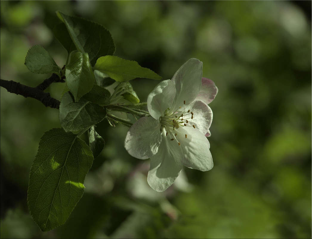 ��� ���� ������� 5 ����� ������  �� PhotoGeek.ru #������ ��� �������