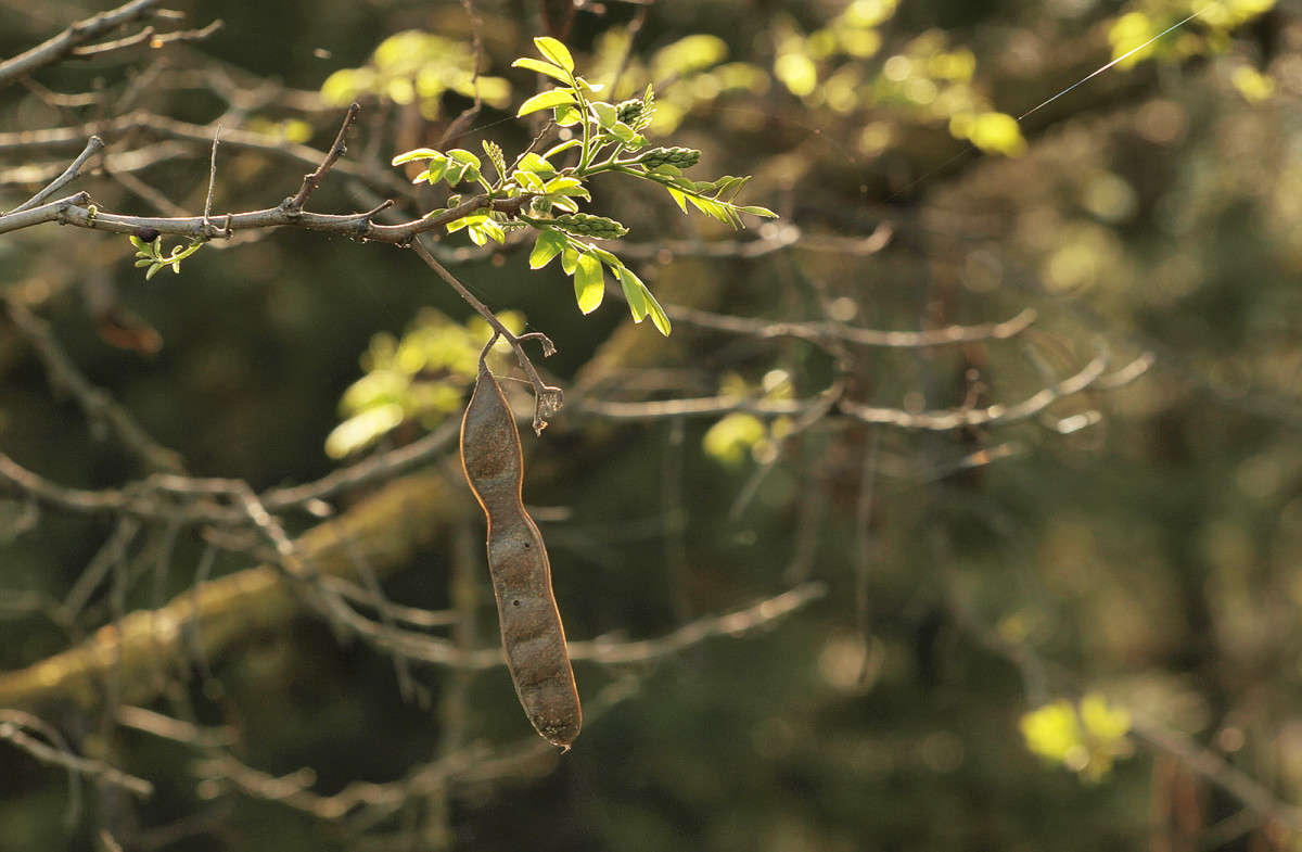 ��� ���� ������� 7 ����� ������  �� PhotoGeek.ru #������ ��� �������