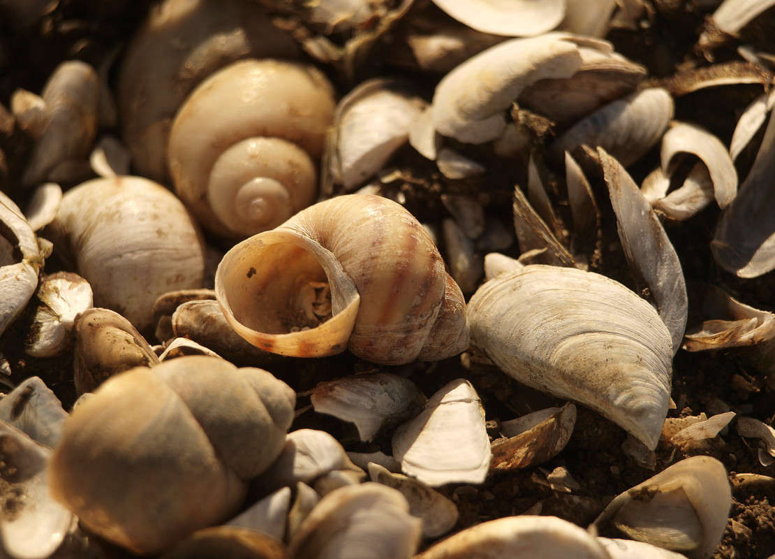 ���� �� �������� ����� ������  �� PhotoGeek.ru #�����