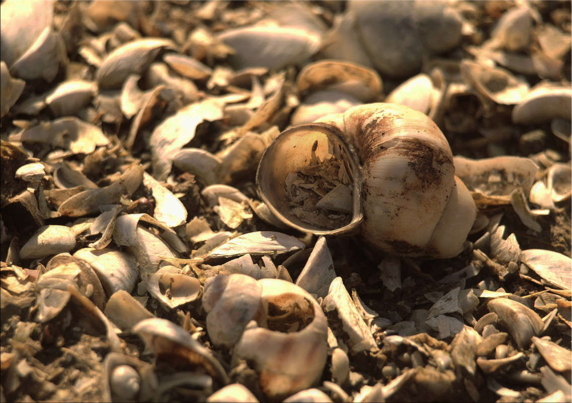 ���� �� �������� 2 ����� ������  �� PhotoGeek.ru #�����