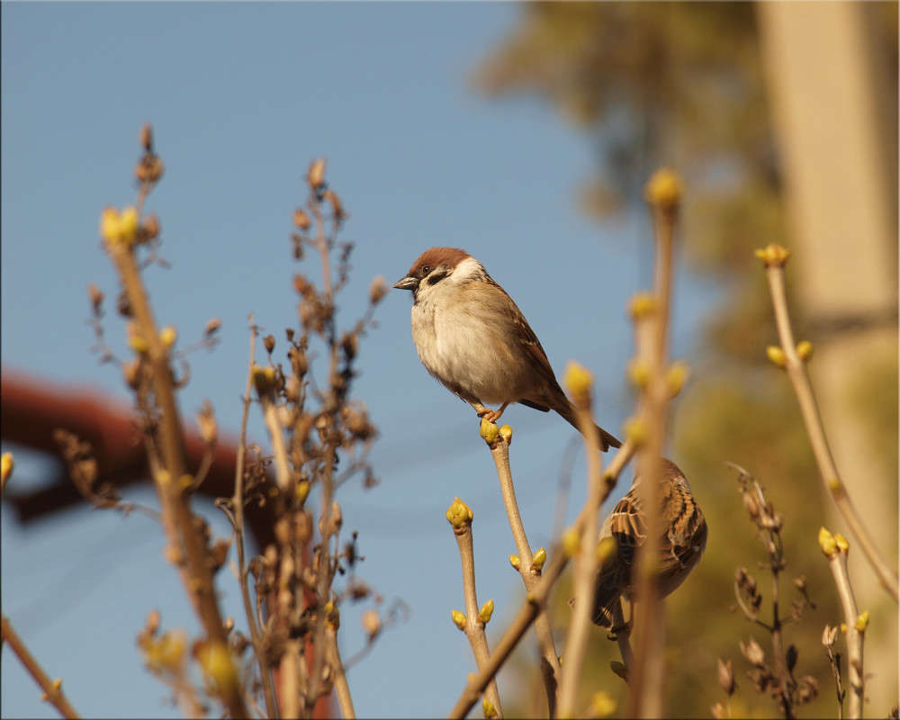 �� ������� ����� ����� ������  �� PhotoGeek.ru #�������� ���