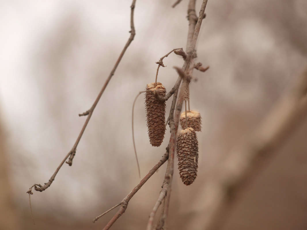 ������������ ����� ������  �� PhotoGeek.ru #������ ��� �������