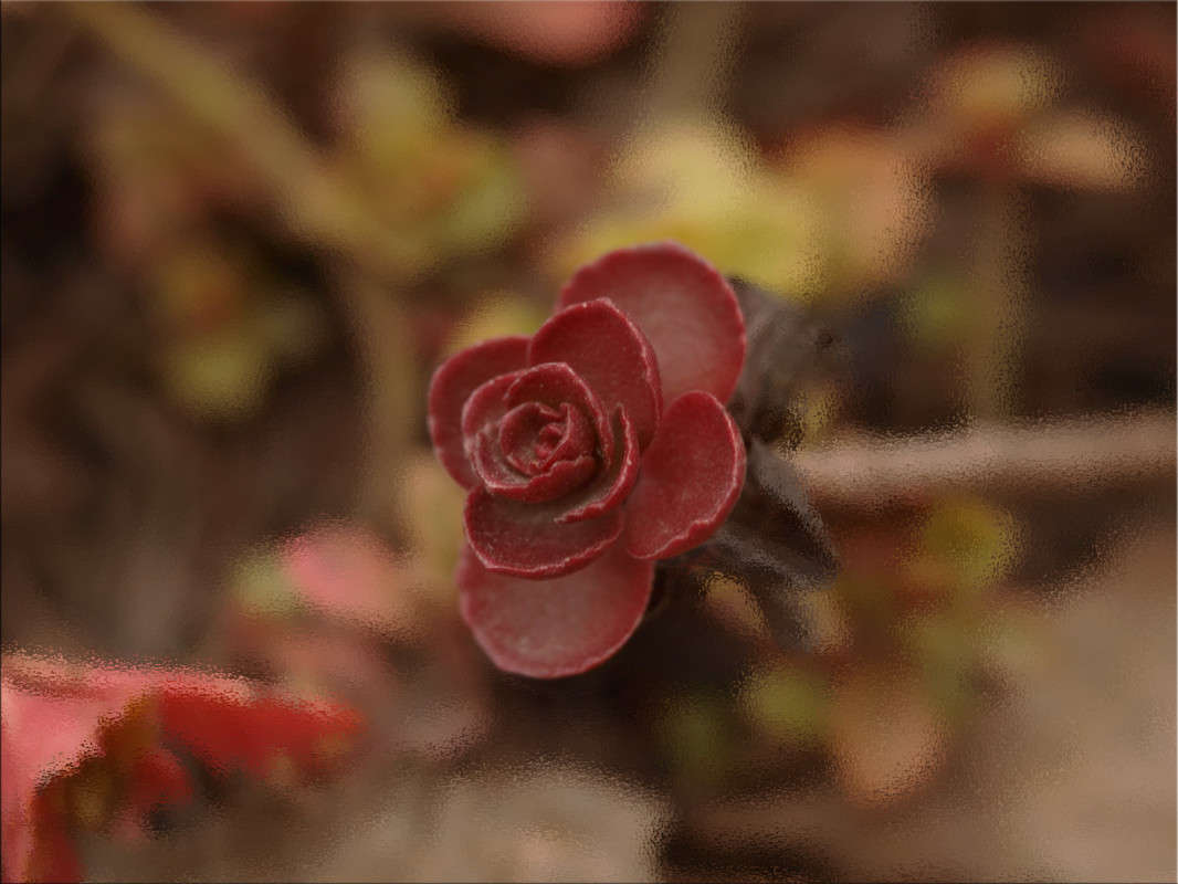 �������� �������� ����� ������  �� PhotoGeek.ru #�����