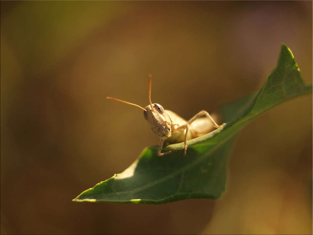 � ����� ����� �������� ����� ������  �� PhotoGeek.ru #�����