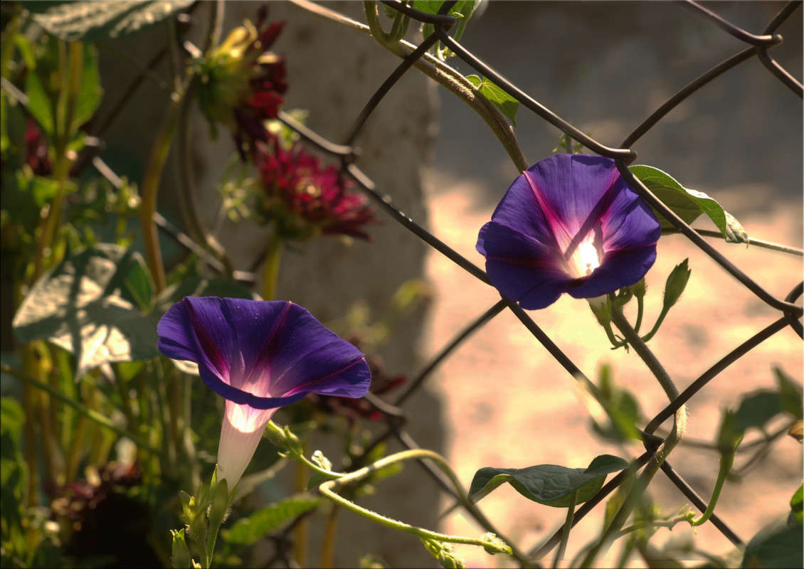 ���� � ���� ����� ������  �� PhotoGeek.ru #������ ��� �������