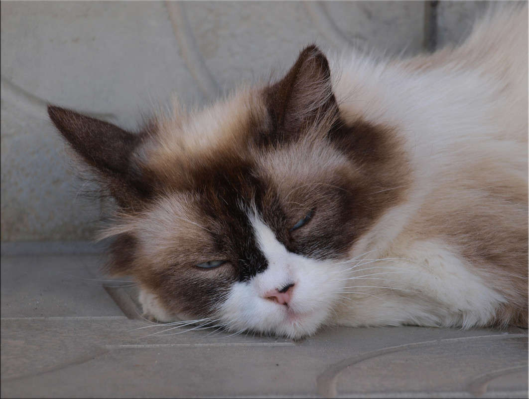 �� ����� ����� ���� ����� ������  �� PhotoGeek.ru #�������� ���