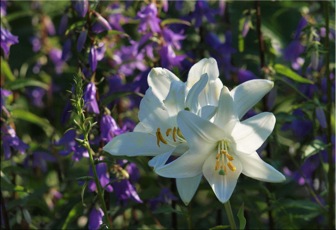 ���� ��������� ����� ������  �� PhotoGeek.ru #������ ��� �������