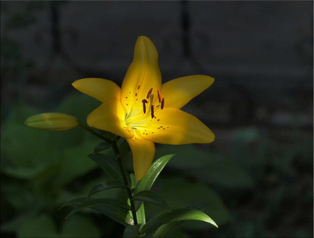 ������ ��� ����� ������  �� PhotoGeek.ru #������ ��� �������