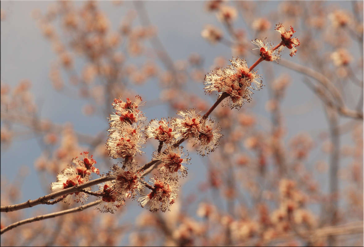 ������ ��������� �������� 5 ����� ������  �� PhotoGeek.ru #������ ��� �������