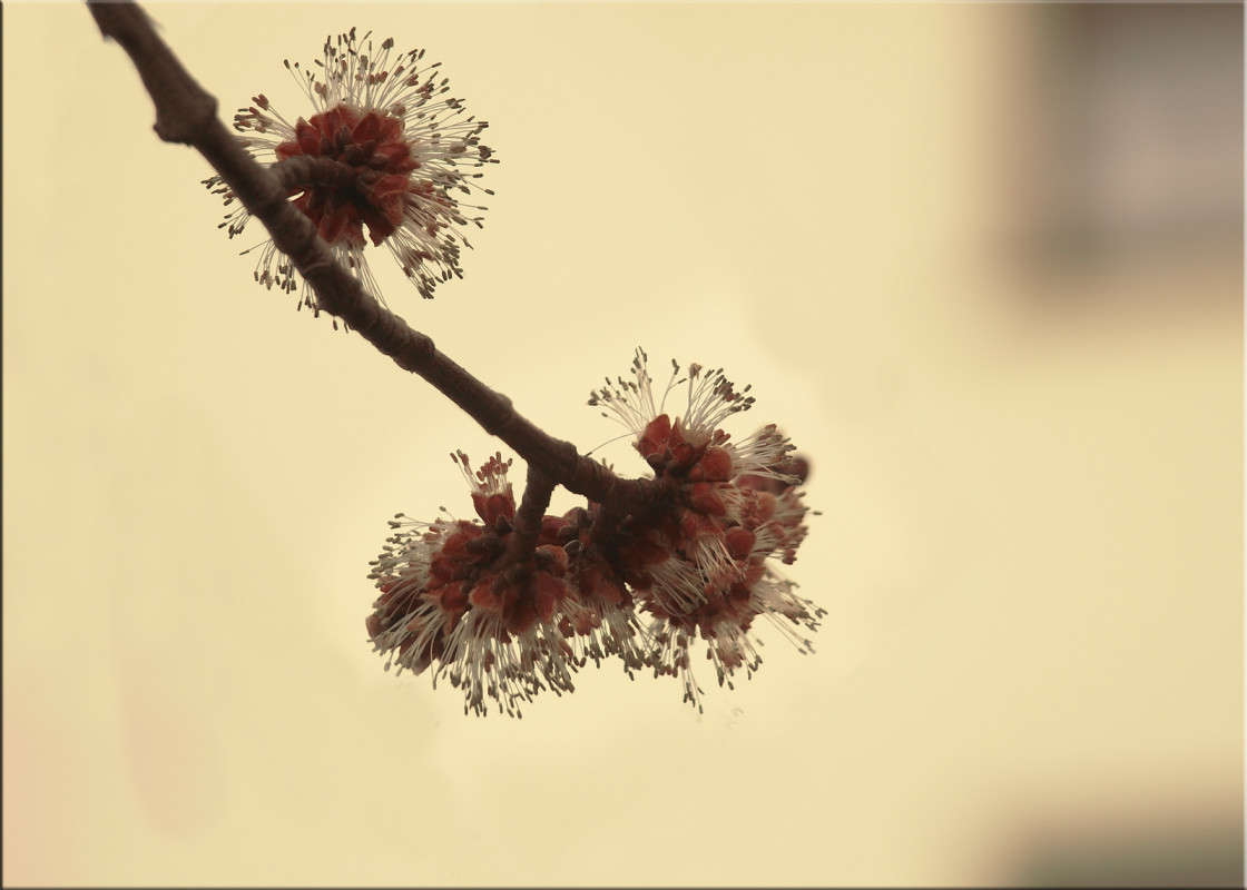 ������ ��������� �������� 4 ����� ������  �� PhotoGeek.ru #������ ��� �������