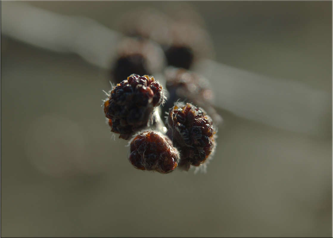 ������ ��������� �������� 3 ����� ������  �� PhotoGeek.ru #������ ��� �������