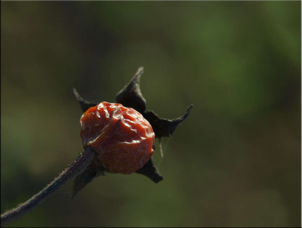 ������ ��������� �������� 2 ����� ������  �� PhotoGeek.ru #������ ��� �������