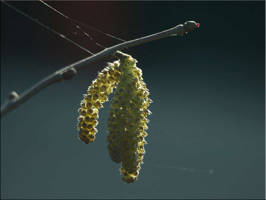 ������ ��������� �������� ����� ������  �� PhotoGeek.ru #������ ��� �������