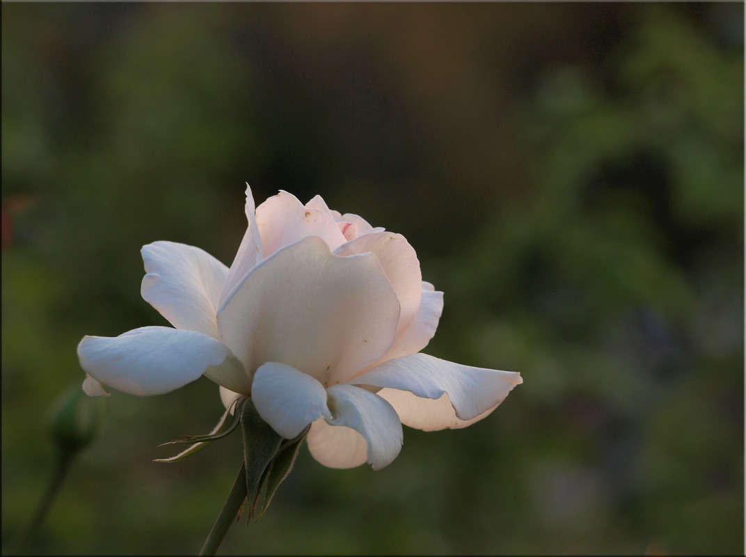 ��� ���� ����� ����� ������  �� PhotoGeek.ru #������ ��� �������