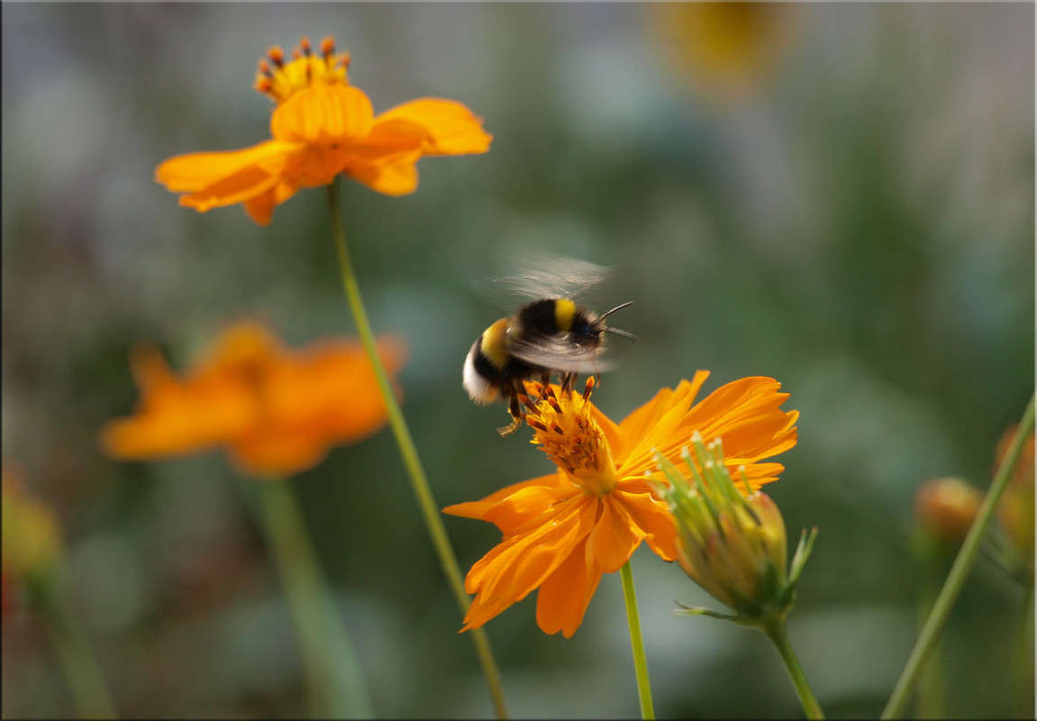 ��� ���� ����� 3 ����� ������  �� PhotoGeek.ru #������ ��� �������