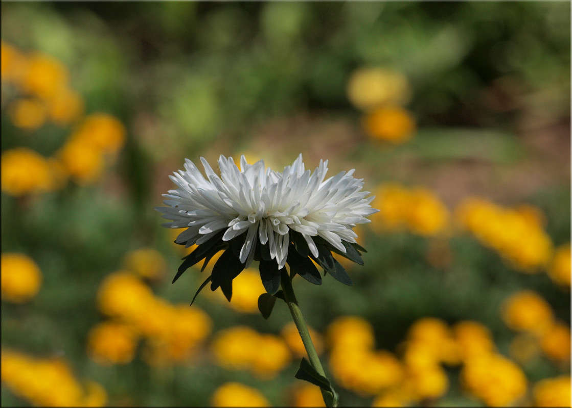 ��� ���� ����� 4 ����� ������  �� PhotoGeek.ru #������ ��� �������