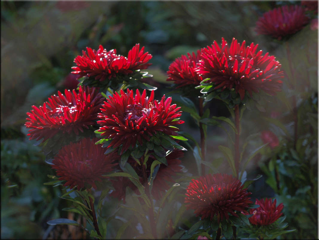 ��� ���� ����� 5 ����� ������  �� PhotoGeek.ru #������ ��� �������