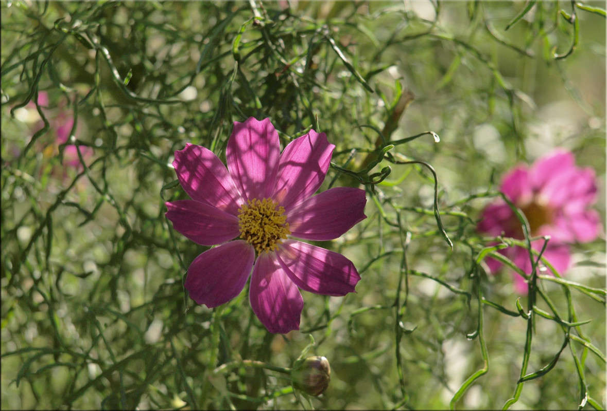 ��� ���� ����� 2 ����� ������  �� PhotoGeek.ru #������ ��� �������