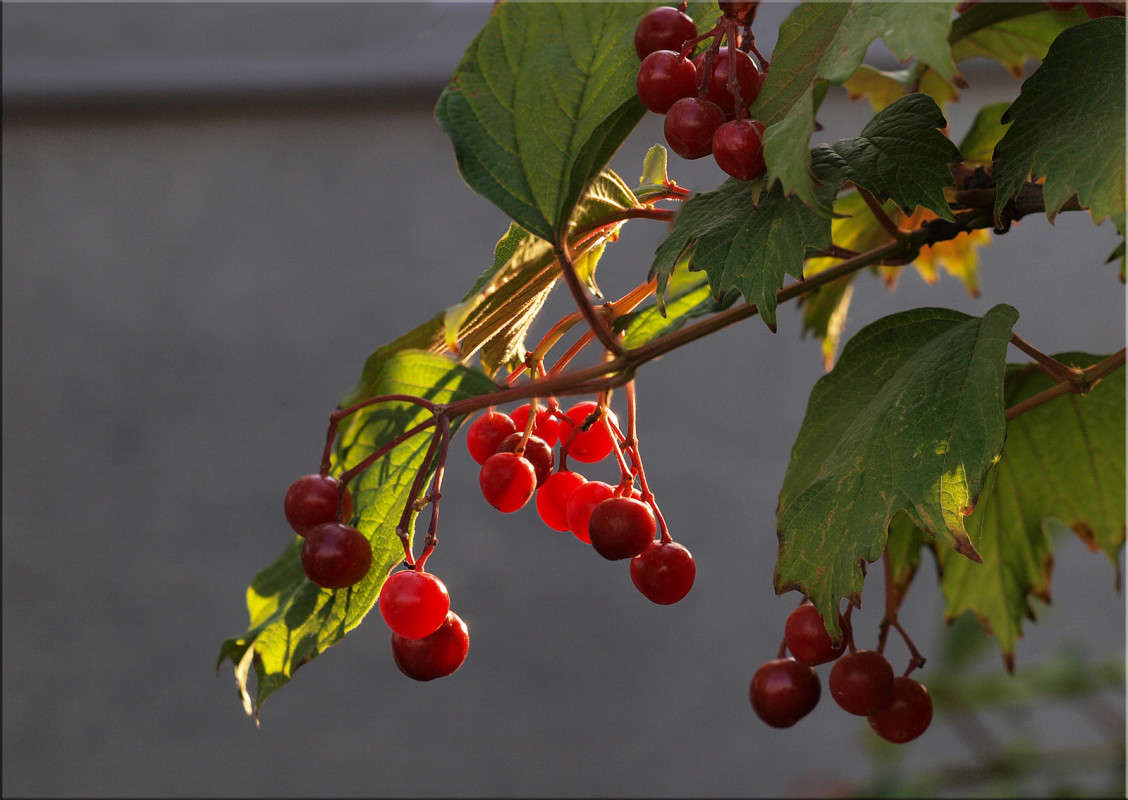 ������ ��� ����� ������  �� PhotoGeek.ru #������ ��� �������