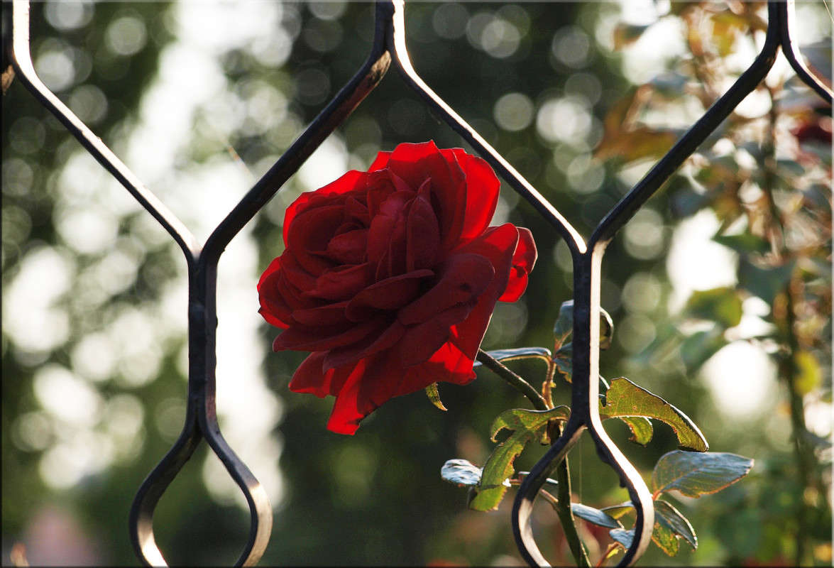 ��� ���� ����� 6 ����� ������  �� PhotoGeek.ru #������ ��� �������