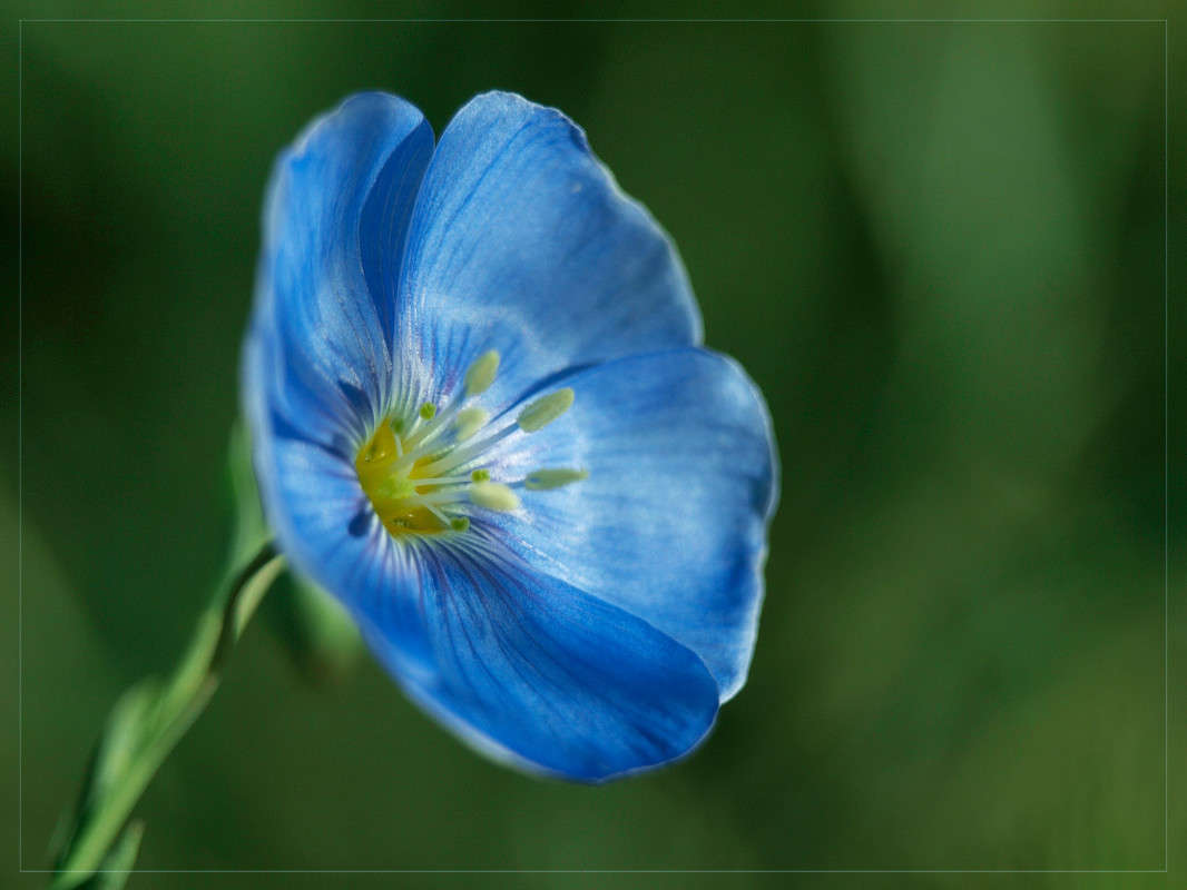 ����������� ����� ������  �� PhotoGeek.ru #�����