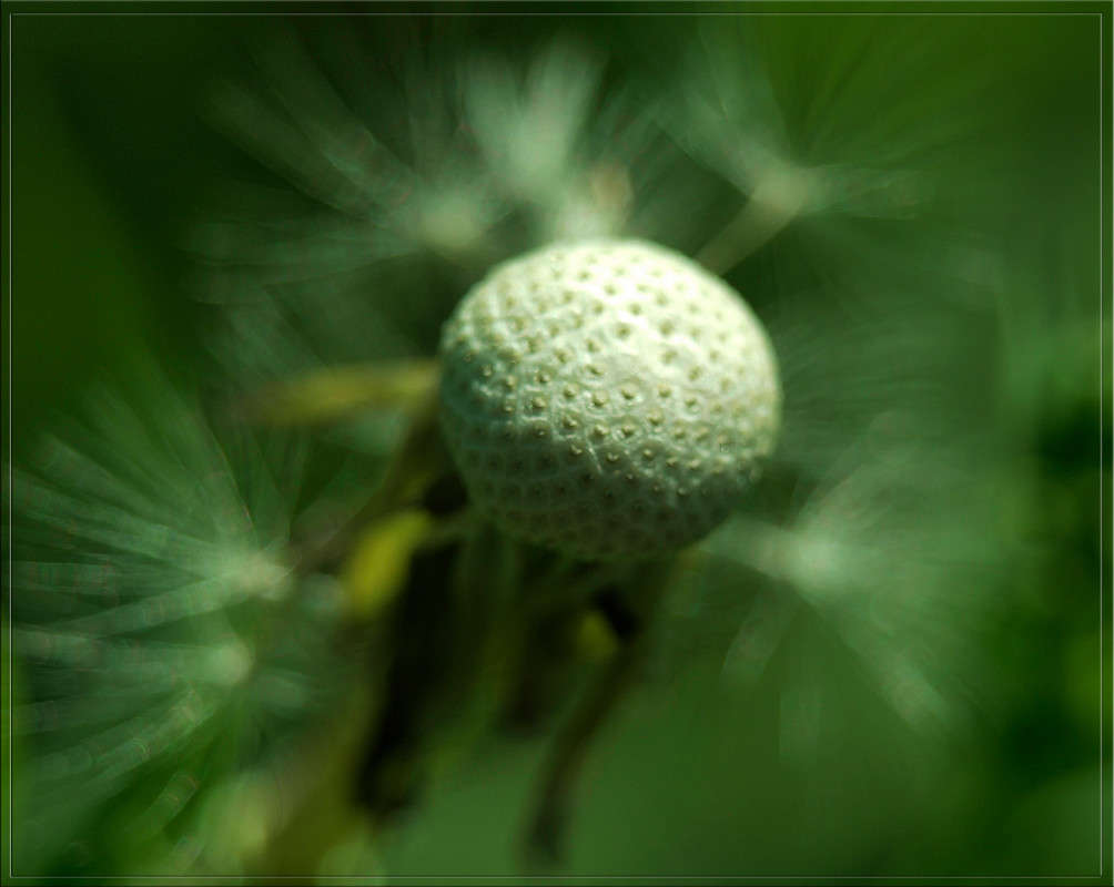 ��������� ����� ������  �� PhotoGeek.ru #�����