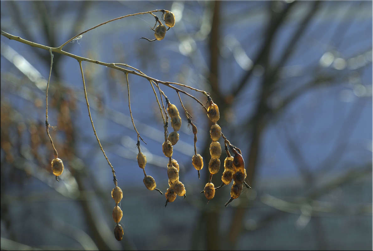 ����������� �� ����� ����� ������  �� PhotoGeek.ru #������ ��� �������