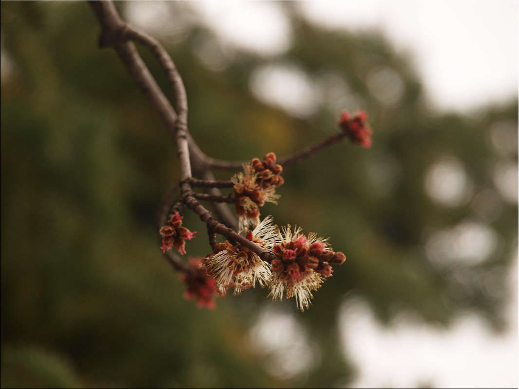 ������ �������� 3 ����� ������  �� PhotoGeek.ru #������ ��� �������