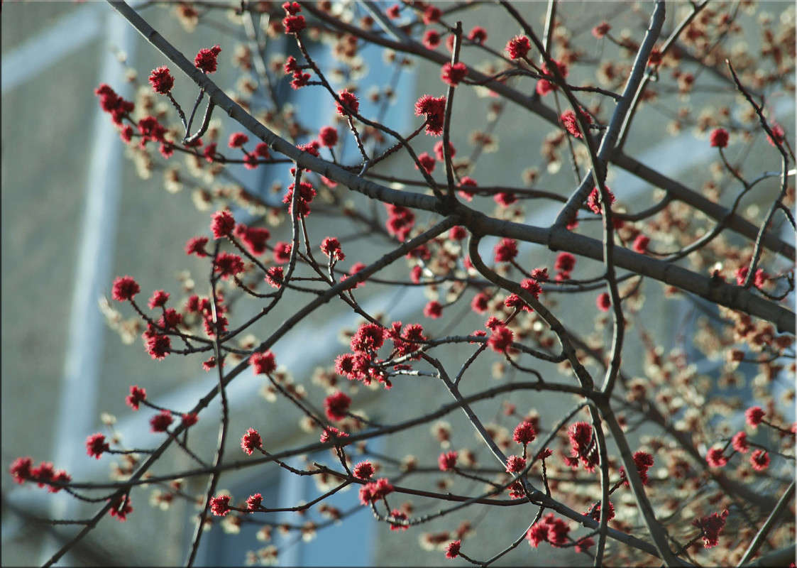 ������ �������� 2 ����� ������  �� PhotoGeek.ru #������ ��� �������