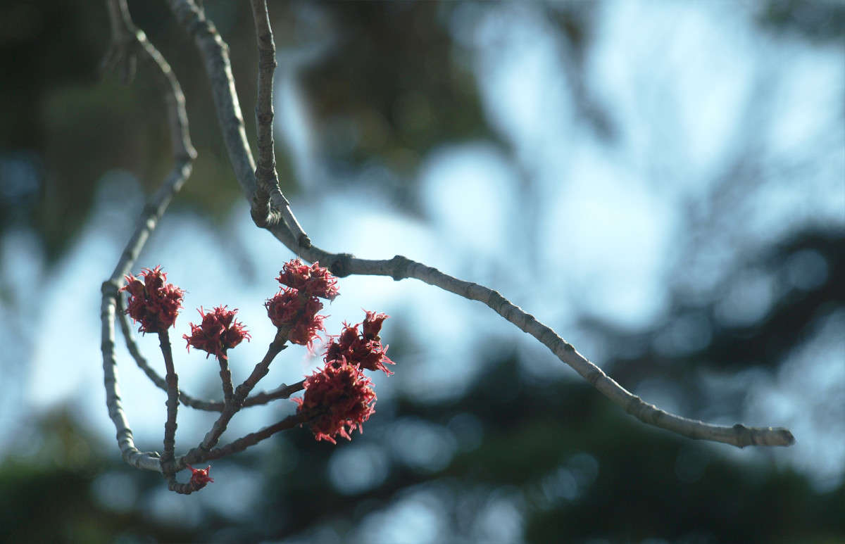 ������ �������� ����� ������  �� PhotoGeek.ru #������ ��� �������