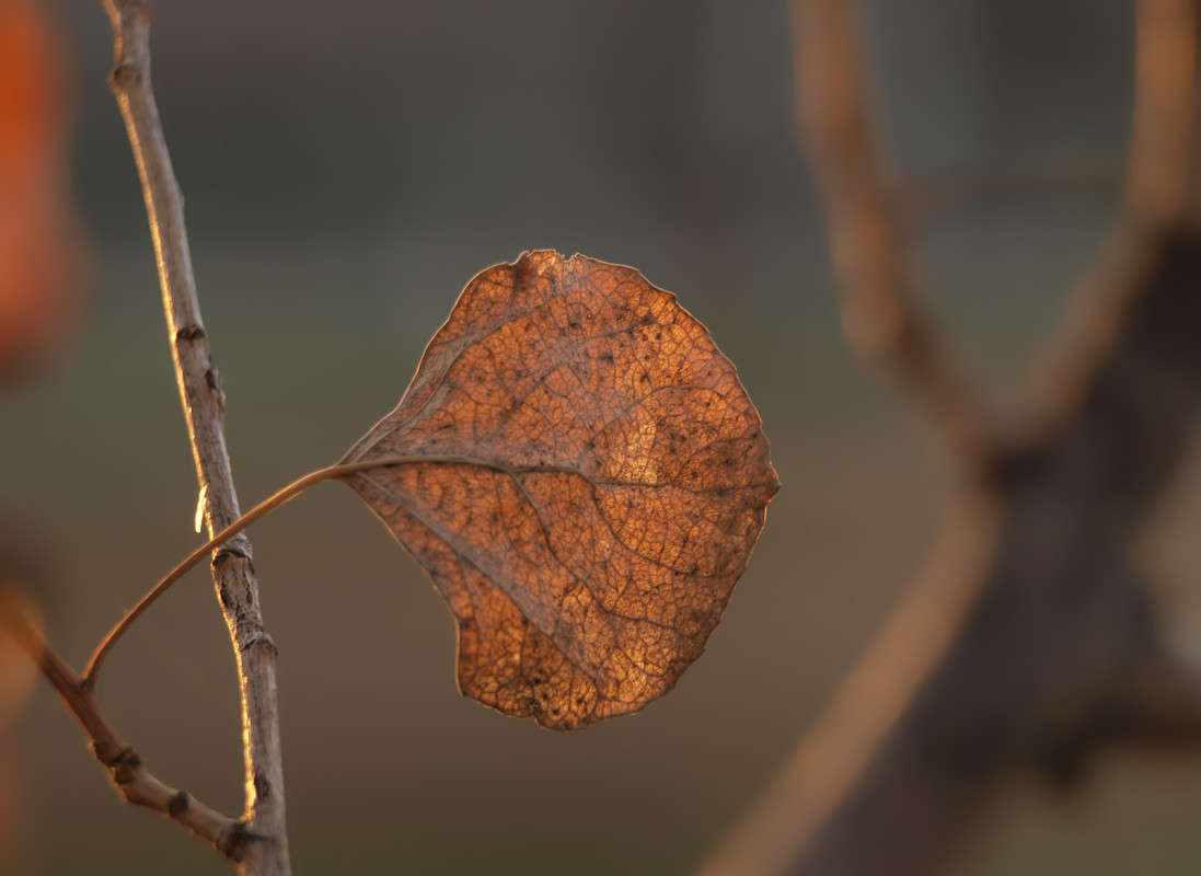 ������� �� ����� 8 ����� ������  �� PhotoGeek.ru #������ ��� �������