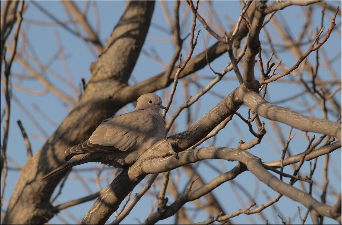 ���� ��� ��������� ����� ���� ����� ������  �� PhotoGeek.ru #�������� ���