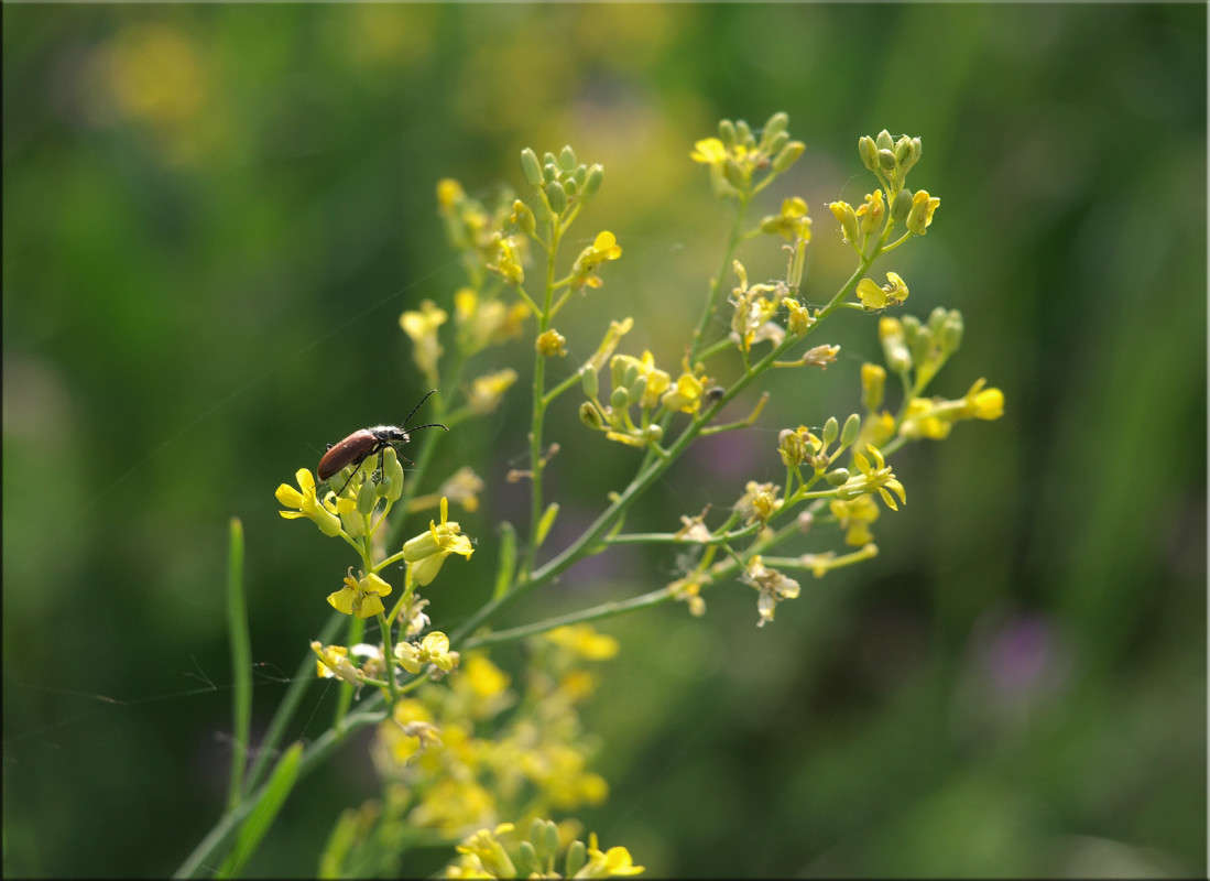 ������� � ���� 15 ����� ������  �� PhotoGeek.ru #������ ��� �������