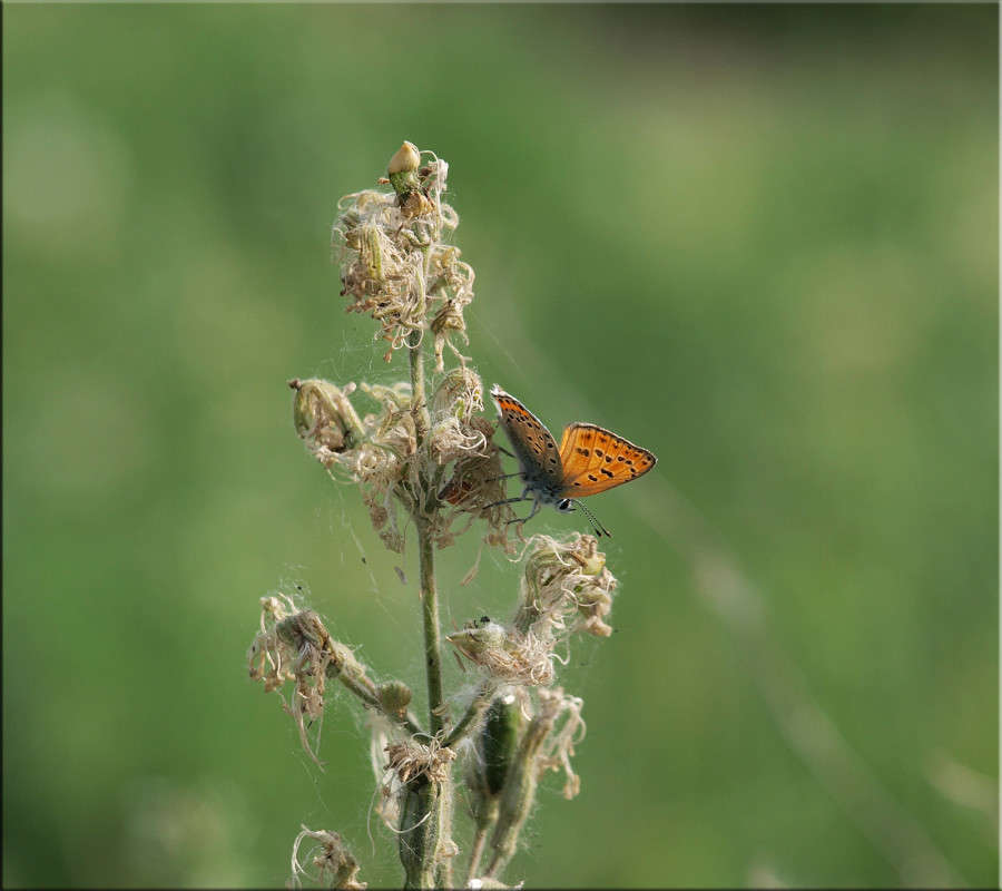 ������� � ���� 14 ����� ������  �� PhotoGeek.ru #������ ��� �������