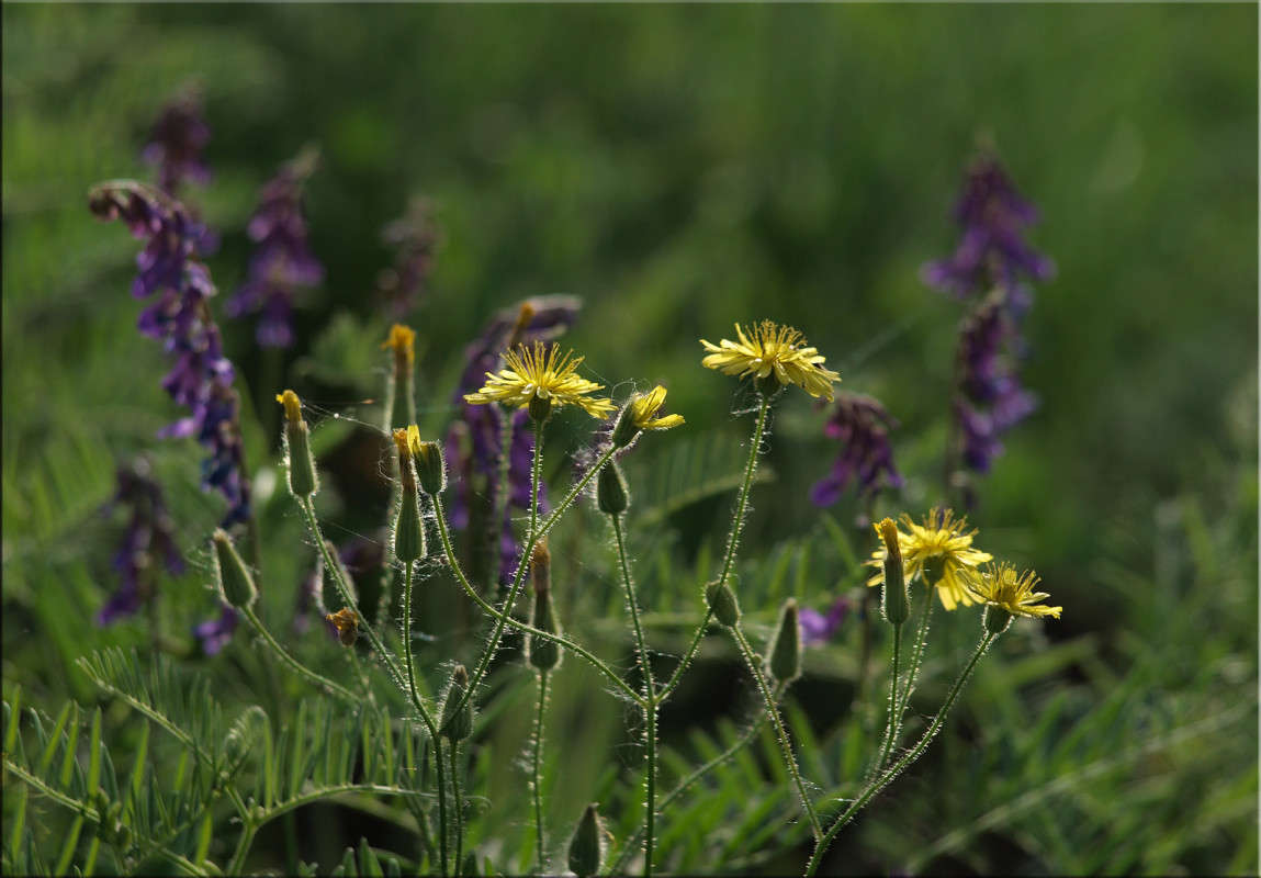 ������� � ���� 13 ����� ������  �� PhotoGeek.ru #������ ��� �������